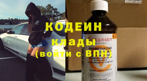 индика Иннополис