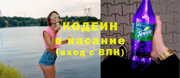 индика Иннополис