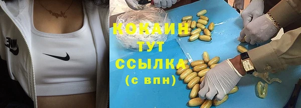 спиды Инта