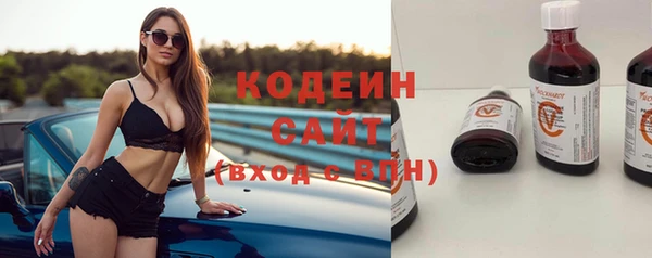 индика Иннополис