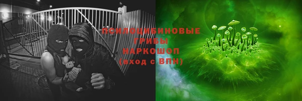 индика Иннополис