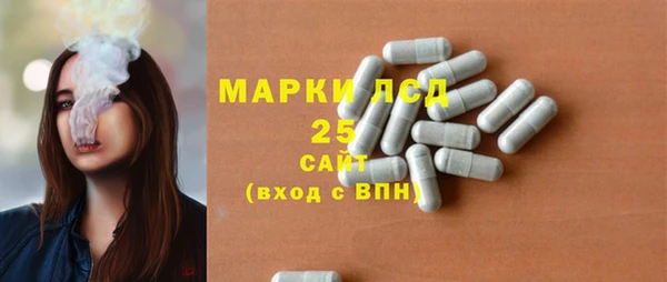 индика Иннополис