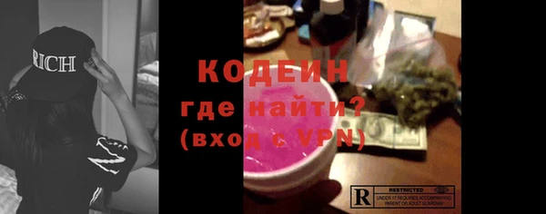 индика Иннополис