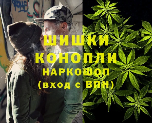 спиды Инта