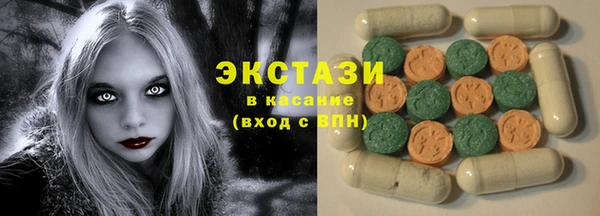 индика Иннополис