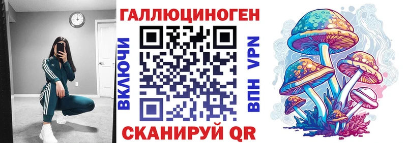 Галлюциногенные грибы прущие грибы  Купить  Гатчина 